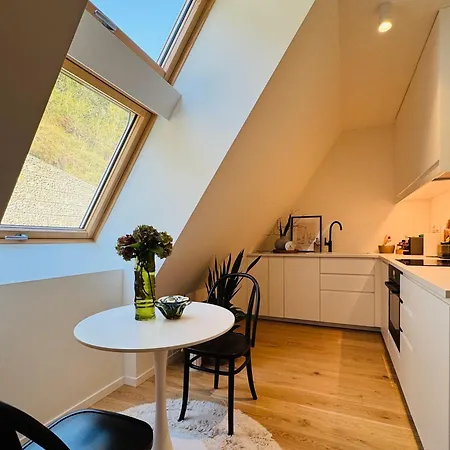 Apartment Chic Loft By Castle&danube Old Town Free Parking