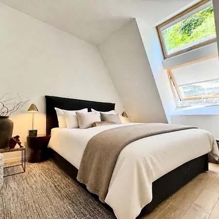 公寓 Vydrica Loft By Castle&danube - Old Town- Privat Parking Included *