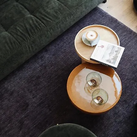Vydrica Loft By Castle&danube - Old Town- Privat Parking Included 公寓 *